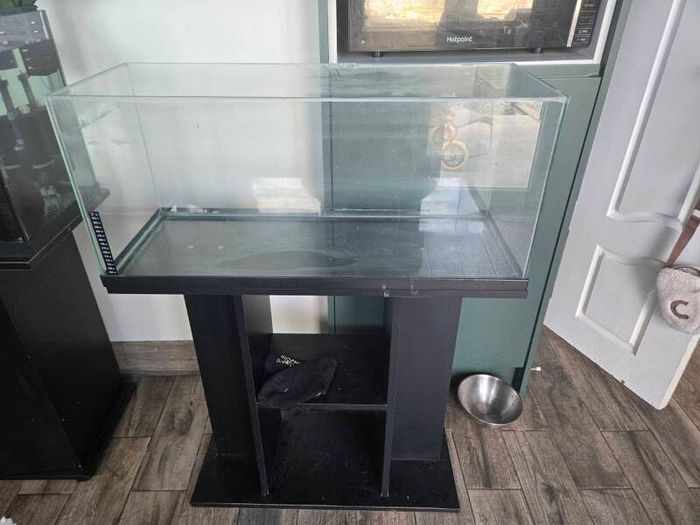 fish tank