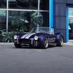 Shelly Cobra Factory Five