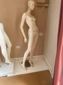 Mannequinn