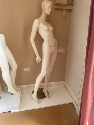 Mannequinn