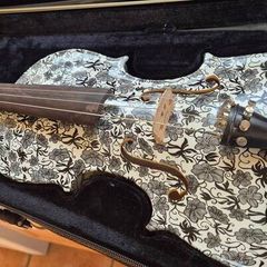Thomann Dark Meadow Violin 4/4 with case