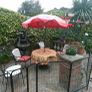 Balustrades with homemade pillars & capping Image 6
