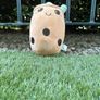 Soft boba plushies Image 3