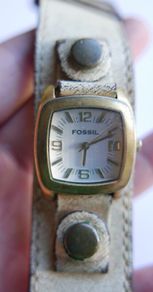 Unique Authentic Fossil (qwartz works well)