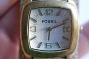 Unique Authentic Fossil (qwartz works well)