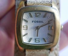 Unique Authentic Fossil (qwartz works well)