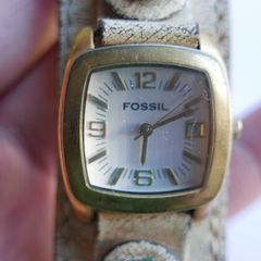 Unique Authentic Fossil (qwartz works well)