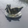 Connemara marble duck Image 2