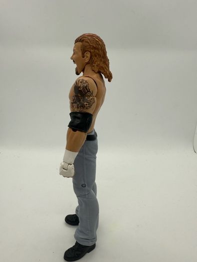 wwe DDP Diamond Dallas Page action figure