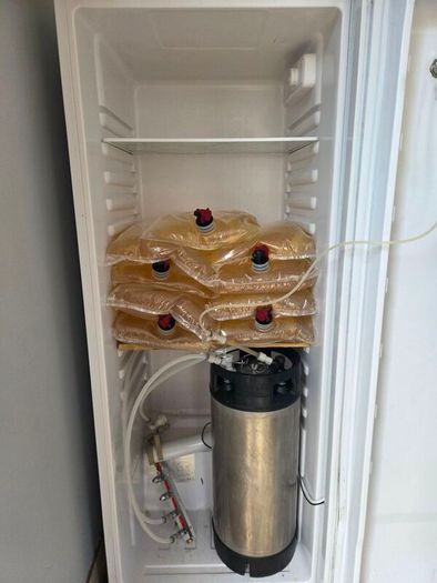 3 Tap Kegerator