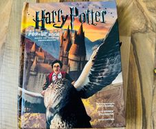 Harry potter pop up book