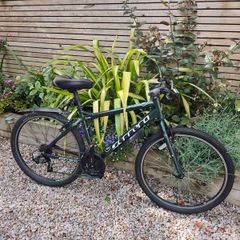Carrera Bike