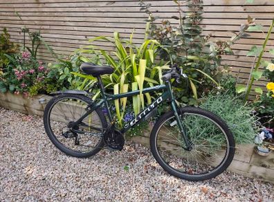 Carrera Bike