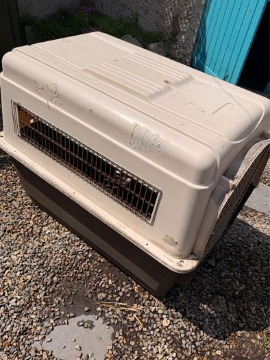 XL Dog travel kennel