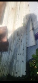 polystyrene insulation