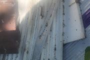 polystyrene insulation