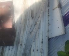polystyrene insulation