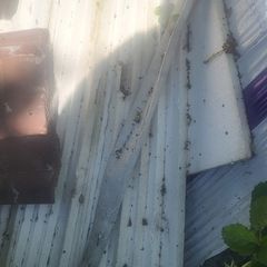 polystyrene insulation