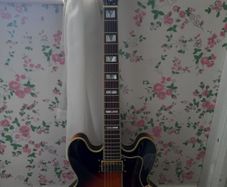Epiphone Sheraton II (PRICE DROP)