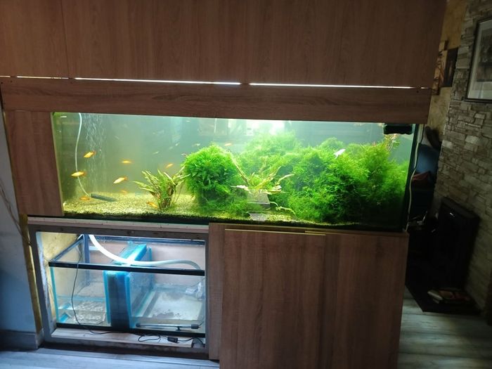 fish tank 750 l