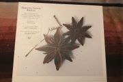 Susumu Yokota  |  Mother