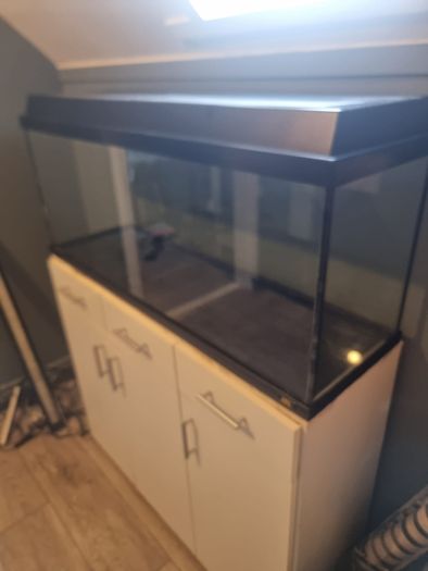 100 l fish tank