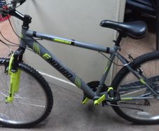 Enduro Verve Bike