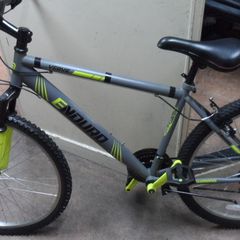 Enduro Verve Bike