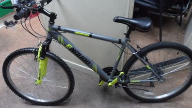 Enduro Verve Bike