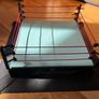 WWE Jakks Pacific Hell in a Cell 2007 Complete Set Image 2