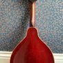 Gibson Mandolin Image 2