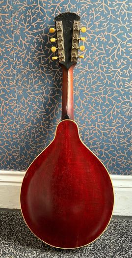 Gibson Mandolin