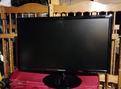 Samsung 22" Monitor