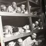150 years of photojournalism Image 5