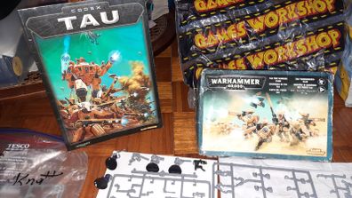 T'AU Empire Fire Warrior + Kroot Carnivore & TAU Codex