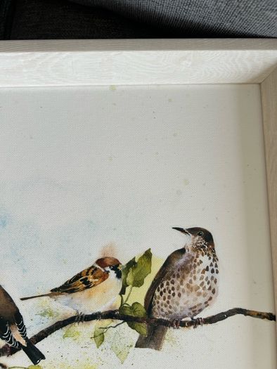 Laura Ashley framed  bird print