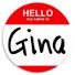 GinaGTI