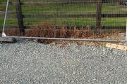 Harris Fencing