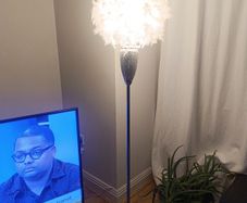 Light