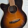 Tanglewood lefty Image 6