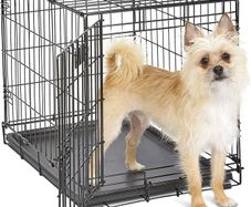 Pets 61 cm  Single Door Folding Dog Crate with Divider Panel, Leak Proof Tray  Secure Latches  Metal Wire Kennel for Small Breeds  Portable, Durable  Easy to Assemble