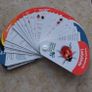 Ireland's Biodiversity Identification Swatch : Ladybirds Image 2