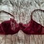 36DD Ann Summers Burgundy Bra Image 2