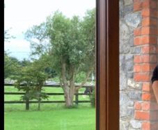 Patio door and interior door