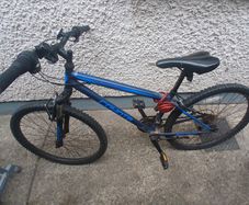 bicycle kids