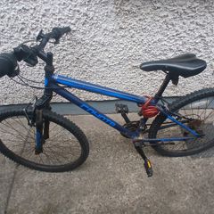 bicycle kids