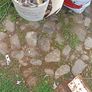 Cobbles/Rounded Stones Image 7