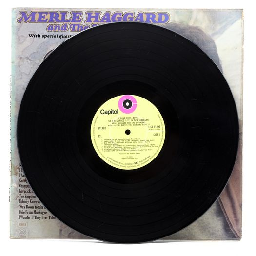 Merle Haggard and the Strangers - I Love Dixie Blues Vinyl Album
