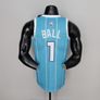 Hornets NBA Jersey Image 2