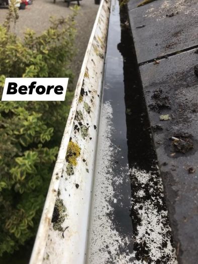 Exterior Cleaning